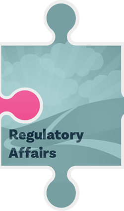 MedTech Essentials: Regulatory Affairs